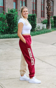 The Seminoles Colorblock Sweats