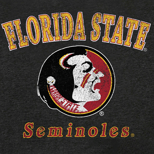 The Florida State Outline Vintage Boyfriend Tee (Black)